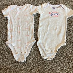 Baby girls onesie bundle size 9 months